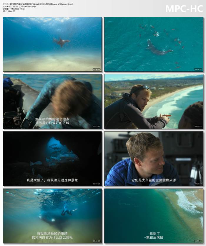 情绪控制克制的废土剧更容易形成稳定口碑